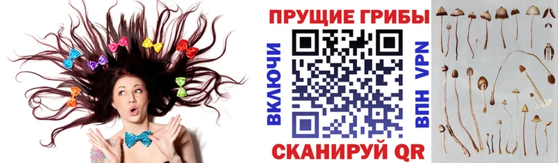 Купить где  Чебаркуль  Галлюциногенные грибы мухоморы 