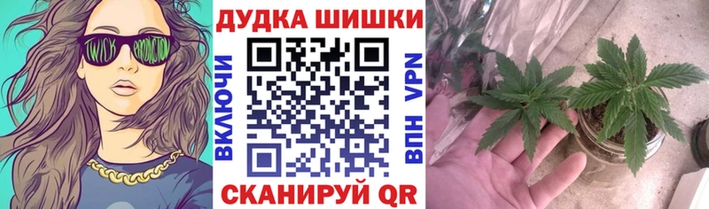 Канабис ГИДРОПОН  Купить  Чебаркуль 